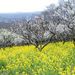 20060319_motherfarmboso_003